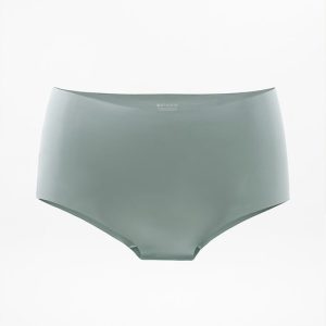 Sleek Form No Show Bikini Underwear